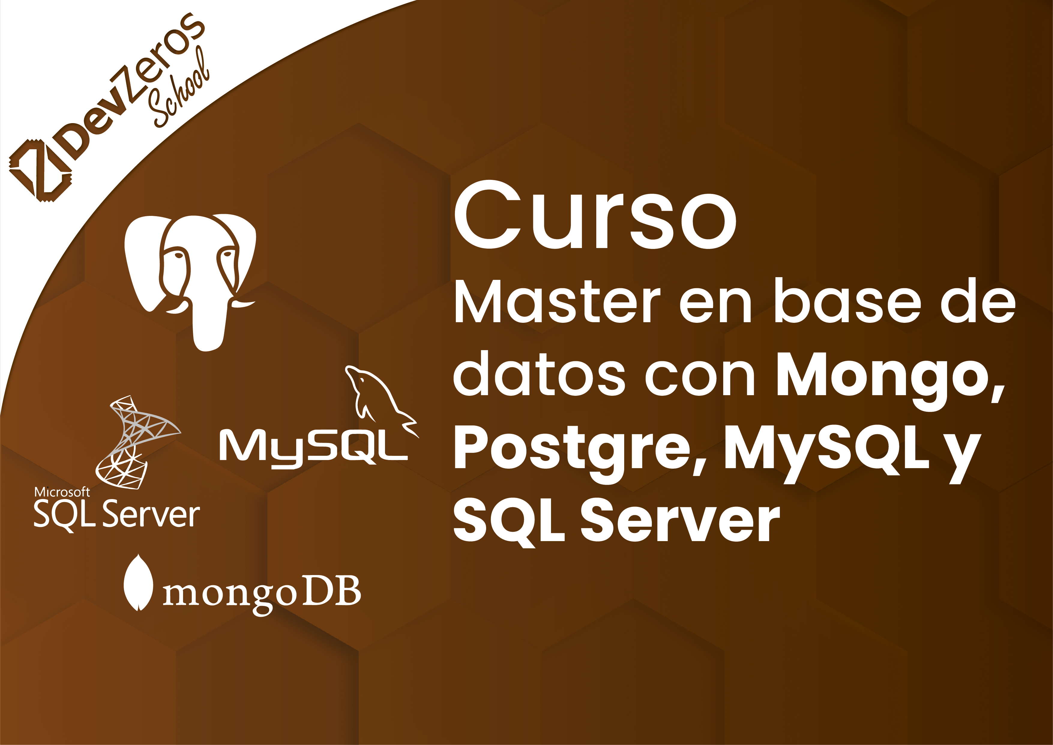 Master en Base de Datos